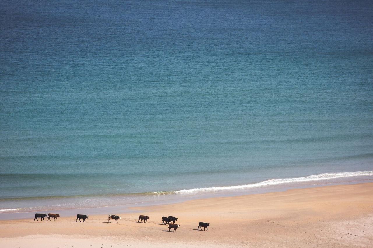 White Park Bay Youth Hostel บาลลินทอย ภายนอก รูปภาพ